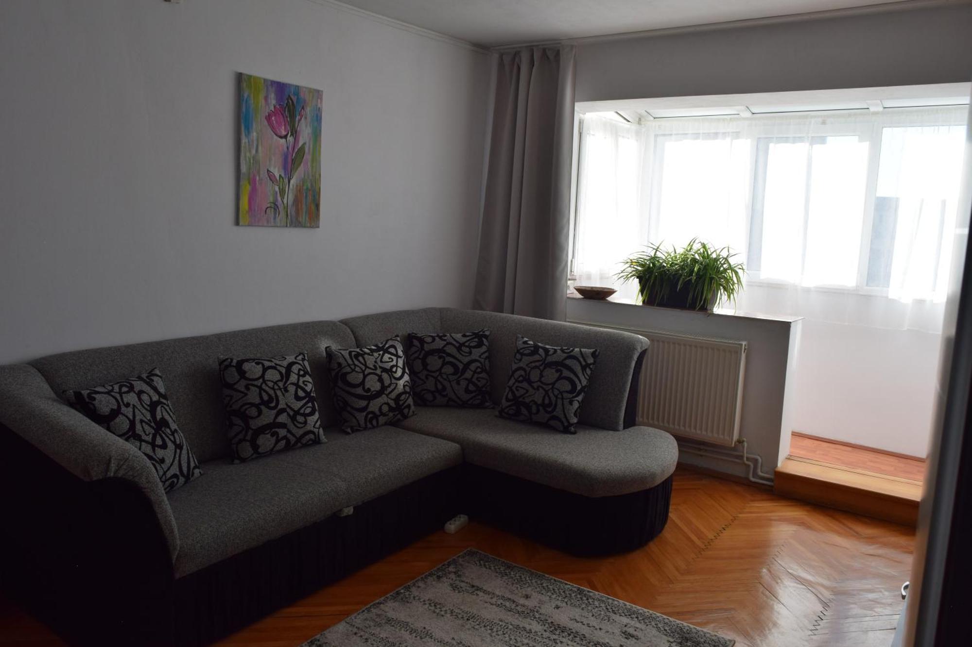 Apartament Simina 티미쇼아라 외부 사진